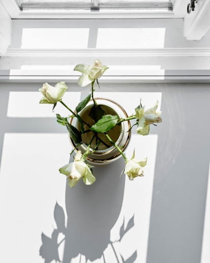 Natur Eg M-line fra Tvis Køkken